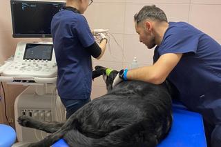 Sercowe problemy Czarnego [GALERIA]