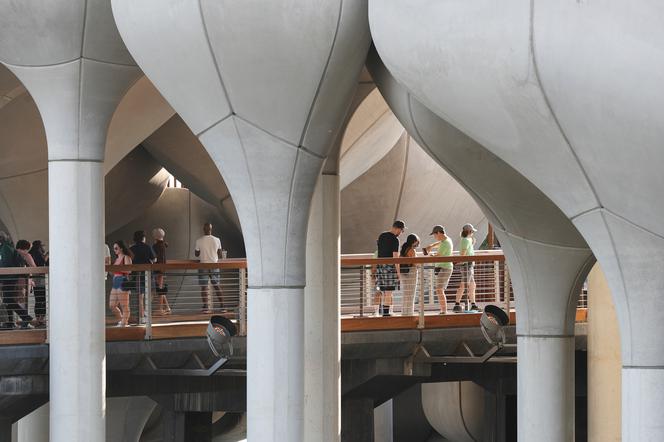 Little Island w Nowym Jorku_Heatherwick Studio _50