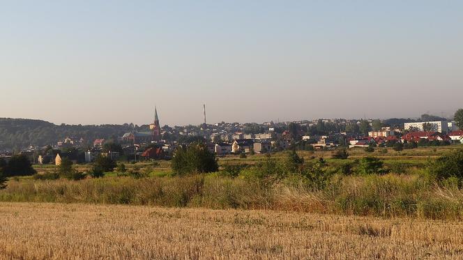 Miejsce nr 46: Radzionków (pow. tarnogórski) 