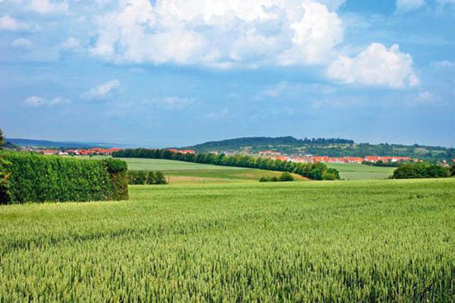 Budowa domu energooszczędnego - katalog ekologicznych możliwości 