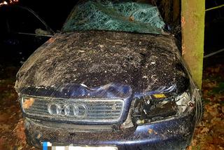 Wypadek pod Sieniawką. Audi roztrzaskało się na słupie