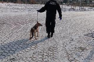 Strażnicy miejscy uratowali starszą kobietę