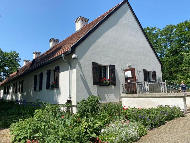 Pałac w Rogalinie zachwyca turystów. Znajduje się 20 kilometrów od Poznania 