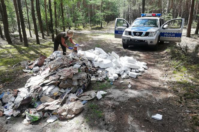 Mieszkaniec Włocławka wywoził odpady do lasu. Namierzył go wspólny patrol policji i straży leśnej