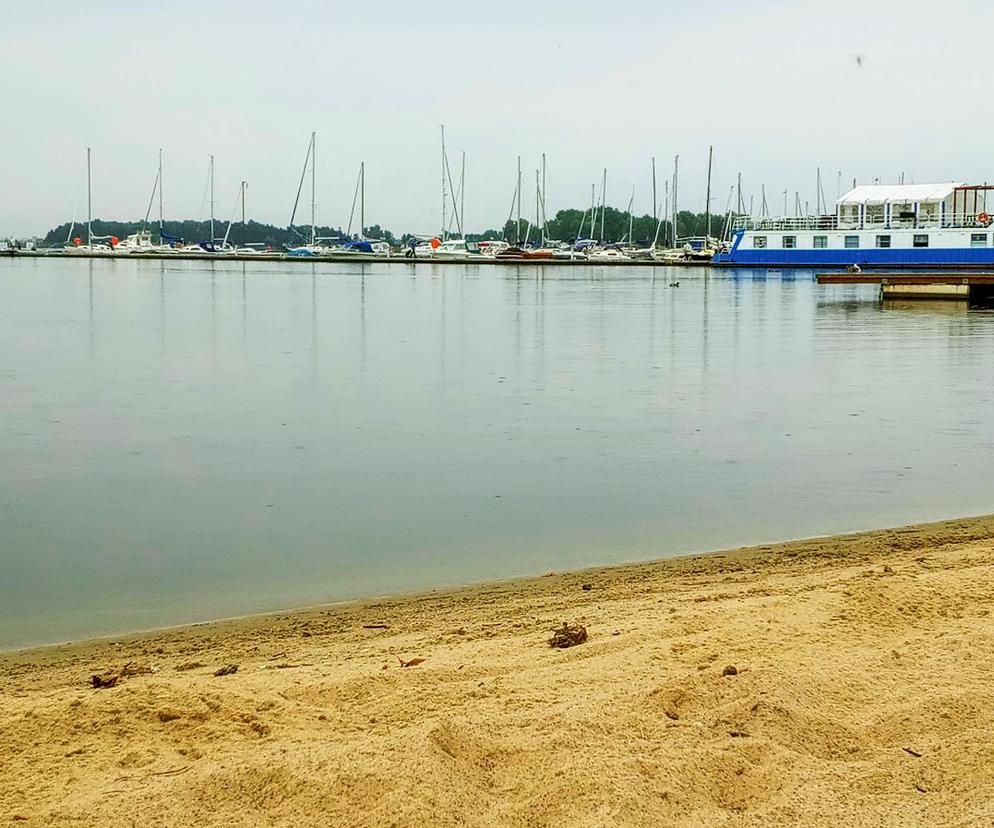 Sinice w jeziorze Dąbie. Popularne kąpielisko zamknięte