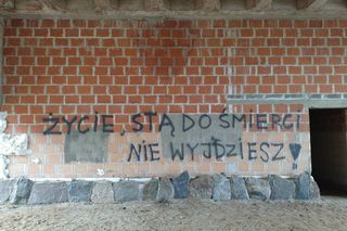 Tajemniczy opuszczony obiekt w Postołowie na Pomorzu. Wybudowano 144 krypty i nie dokończono budowli 