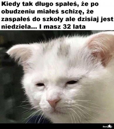 Memy o szkole 2020. Nauka u dobie koronawirusa. Żarty z nowej sytuacji 