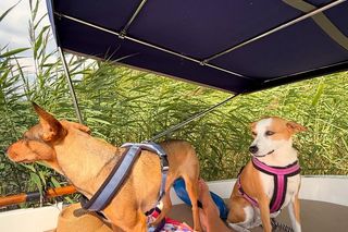 Ola Kwaśniewska chlapie się w jeziorze