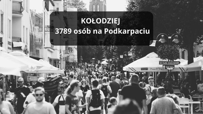 Najpopularniejsze nazwiska na Podkarpaciu. Nosisz jedno z nich?