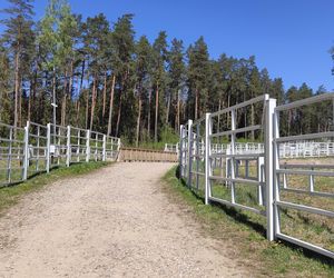 Zagroda Pokazowa Żubrów w Kopnej Górze. Unikalne miejsce na mapie Podlasia