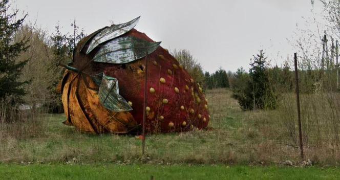 Wielka truskawka pod Warszawą