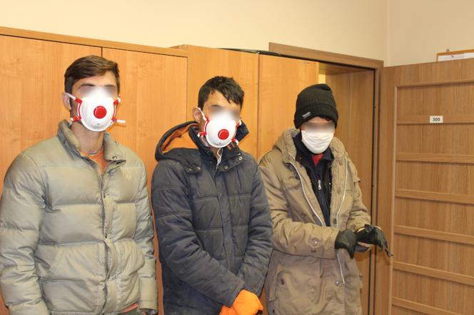 Śląskie: Nielegalni imigranci schowali się w transporcie z choinkami. To obywatele Afganistanu [ZDJĘCIA, WIDEO]