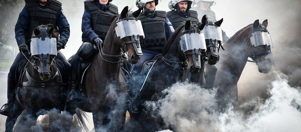 Policyjne konie zdały egzamin!