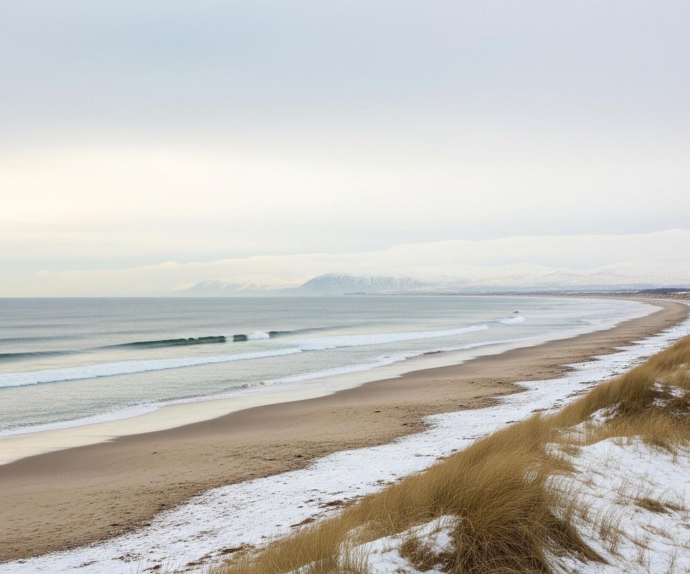 Ferie zimowe 2026. Czy Ba.jpg