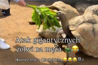 Maciej Orłoś, Paulina Orłoś