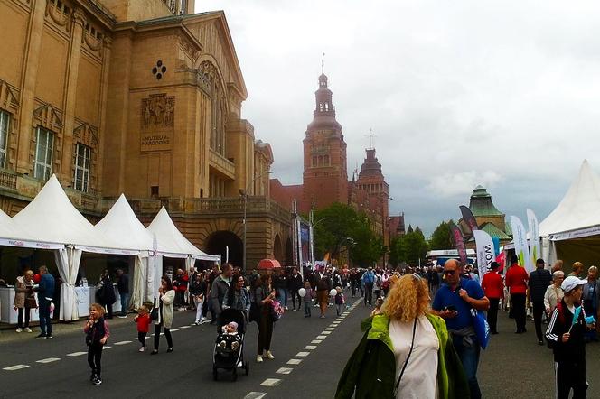 Piknik nad Odrą 2024