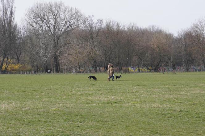 Pierwszy dzień wiosny na Polu Mokotowskim 21 marca 2024