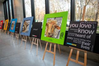 Wystawa połączona z pomaganiem. Łódzkie Orientarium organizuje zbiórkę dla ukraińskich zwierząt