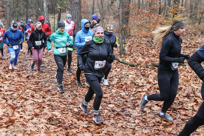 Katowicki City Trail jak zwykle ze znakomitymi biegaczami i biegaczkami. Zobacz zdjęcia ze sportowej imprezy