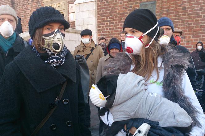 Mieszkańcy Krakowa na proteście z powodu smogu. Listopad 2015. Fot. Katarzyna Zykubek, Radio Plus.