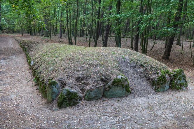 W Kujawsko-Pomorskiem są piramidy starsze od tych egipskich. Mowa o niezwykłych megalitach w Wietrzychowicach