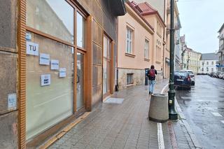 Królicza kawiarnia Hunny Bunny powstanie w Rzeszowie. Będzie limit wiekowy? 