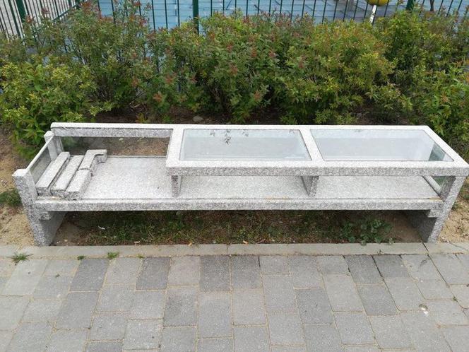 Wandale dają się we znaki Bydgoszczy. Miasto apeluje o reakcję
