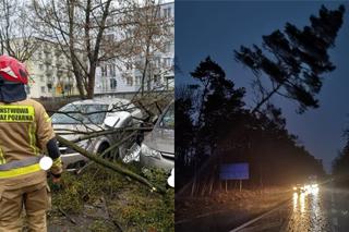 Zerwane dachy, drzewa na samochodach i brak prądu. Fatalny bilans wichury w Toruniu i okolicach [Zdjęcia]