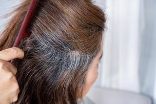Zagotuj 2 łyżki w wodzie i spłucz włosy, a siwe odrosty znikną. Pasma będą naturalnie przyciemnione i lśniące. Domowy sposób na siwe włosy