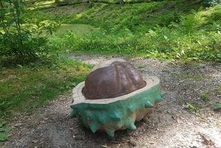 Leśne Arboretum Warmii i Mazur w Kudypach