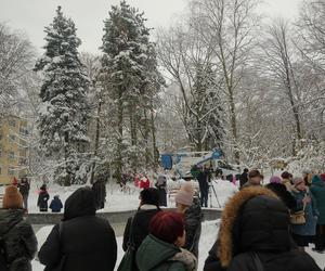 Lubelskiej tradycji stało się zadość. Choinka na LSM-ie już ubrana