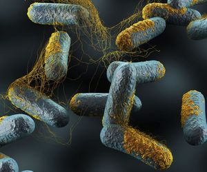 Zgorzel gazowa (gangrena) - objawy, leczenie