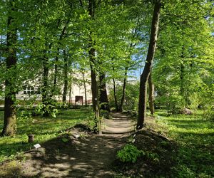 Wiosna w Ogrodzie Botanicznym UKW, czyli spacer wśród zieleni