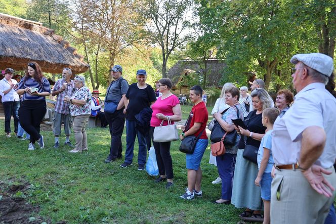 W skansenie w Lublinie pokazali, jak dawniej wyglądały wykopki kartoflane