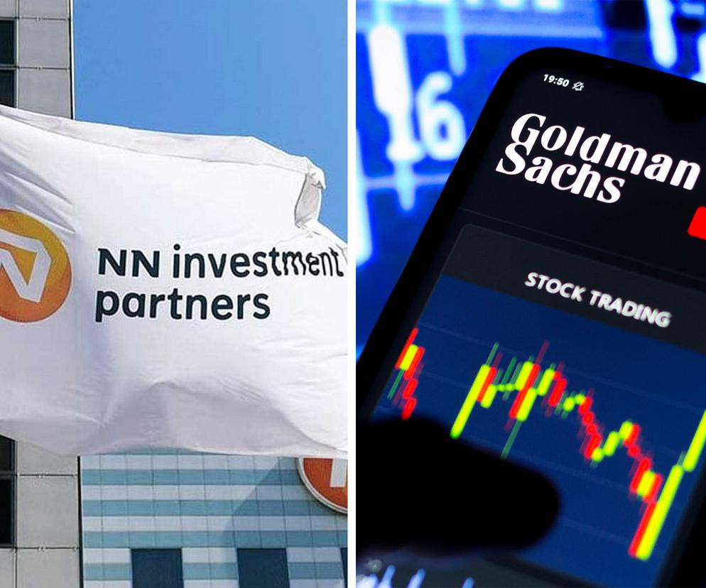  NN Investment Partners i Goldman Sachs