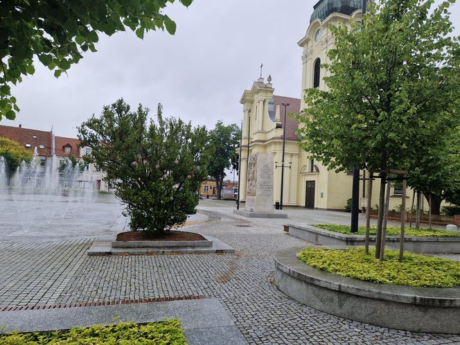 Spacer po Rynku w Starym Fordonie. Śladami historii, trzech kultur i niezwykłej przemiany