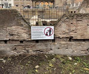 Largo Argentina w Rzymie. Koty zamieszkały w starożytnych ruinach - zobacz zdjęcia