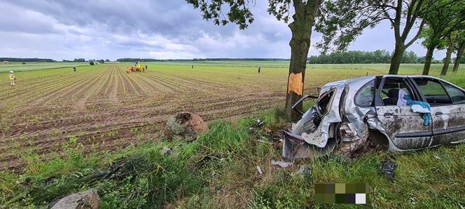 Jatwieź Duża. Wypadek: Kierowca renault rozbił się na drzewie [ZDJĘCIA]