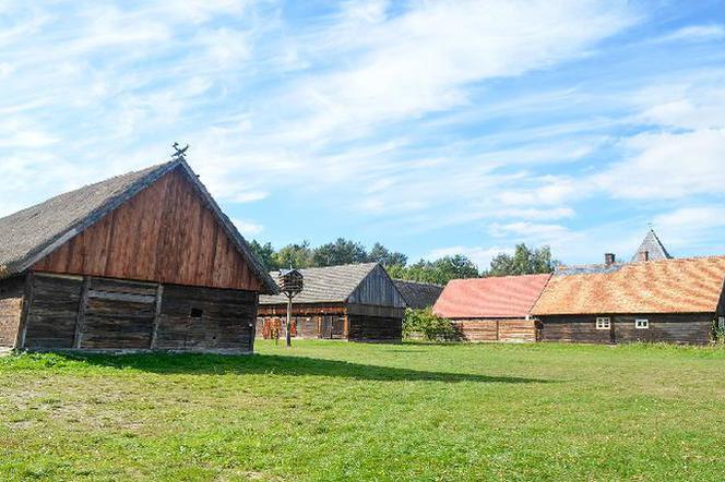 Zielona Góra: Wioska dziecięca znów w Ochli!