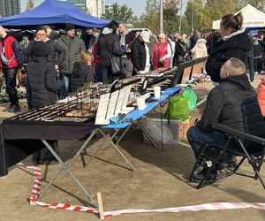 Niedzielny Targ - nowy pchli targ w Poznaniu