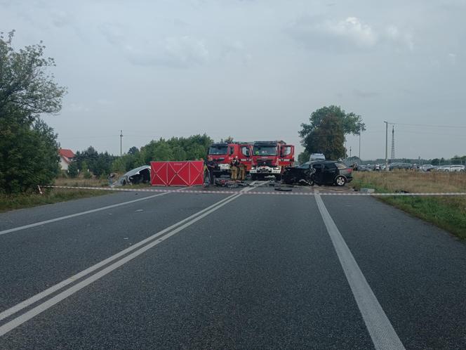 : Mama zginęła w wypadku, dziecko z urazem głowy trafiło do szpitala. Tragiczny finał brawurowej jazdy na trasie do Warszawy