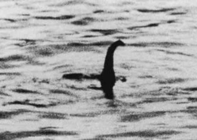 Potwór z Loch Ness na zdjęciu z kwietnia 2024! To pierwsze potwierdzone ujęcie potwora?