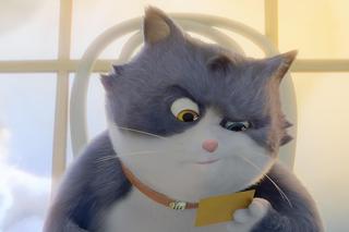 Był sobie kot - zdjęcia z filmu