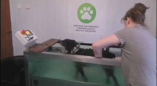 Ćwiczą dla parówki