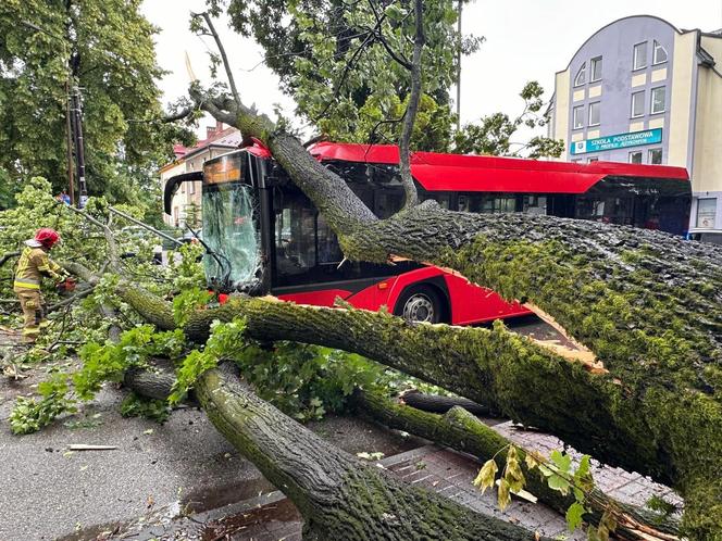 Drzewo przewróciło się na miejski autobus. Są osoby poszkodowane