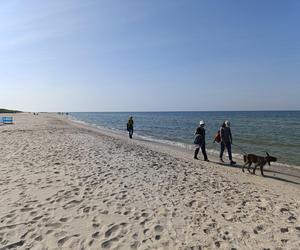 Koniec sezonu w Lubiatowie. Plaża i pusty camping