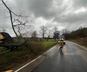 Wichura w województwie pomorskim.