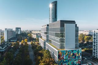 Największy mural we Wrocławiu - zdjęcia. Ma 720 m2 i oczyszcza powietrze