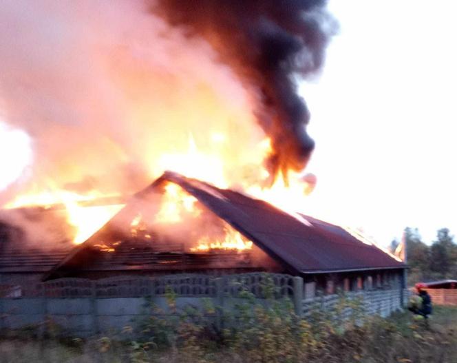 Pożar stajni w Częstochowie. Spłonęła całkowicie