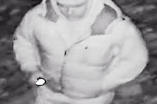 Włamanie do pałacu w Mordach